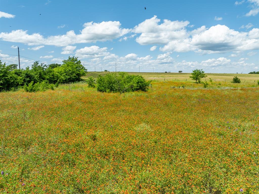 321 County Road 3545  , Clifton, Texas image 15