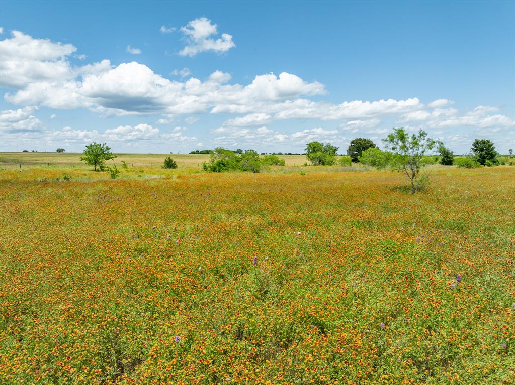 321 County Road 3545  , Clifton, Texas image 16