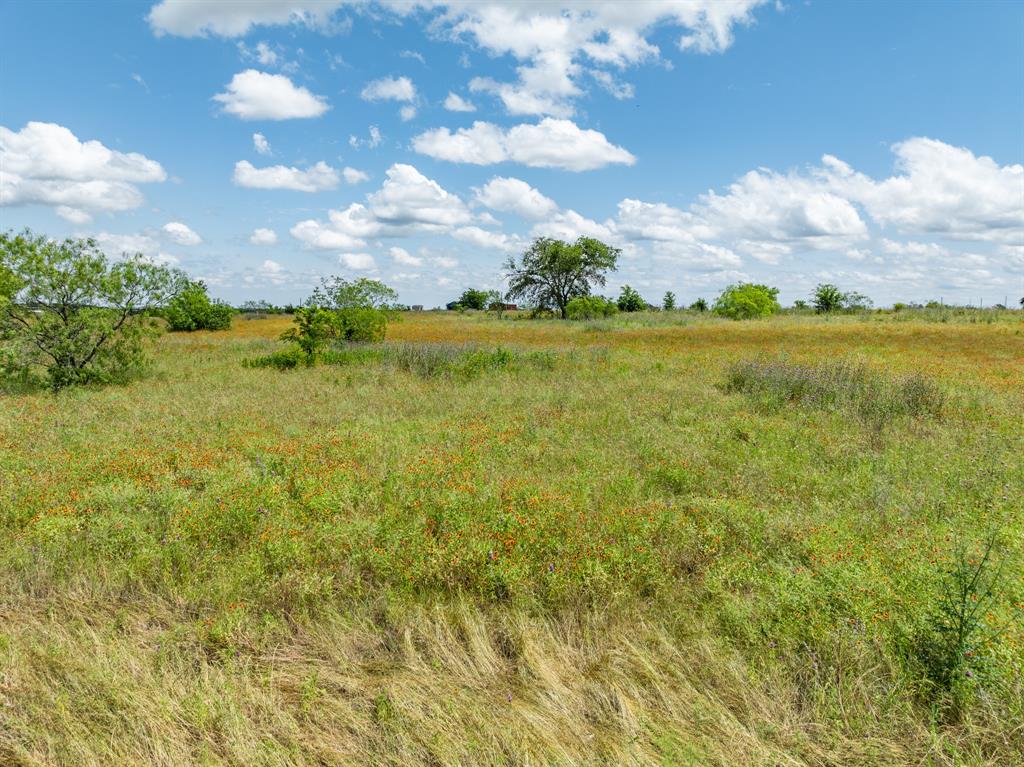 321 County Road 3545  , Clifton, Texas image 21