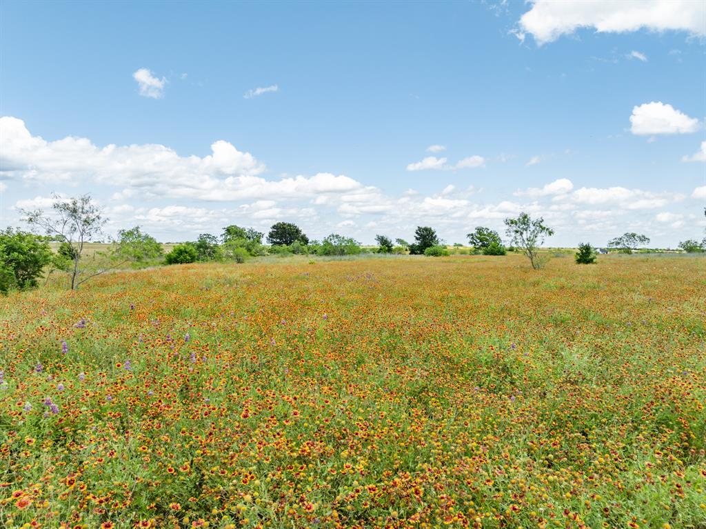 321 County Road 3545  , Clifton, Texas image 4