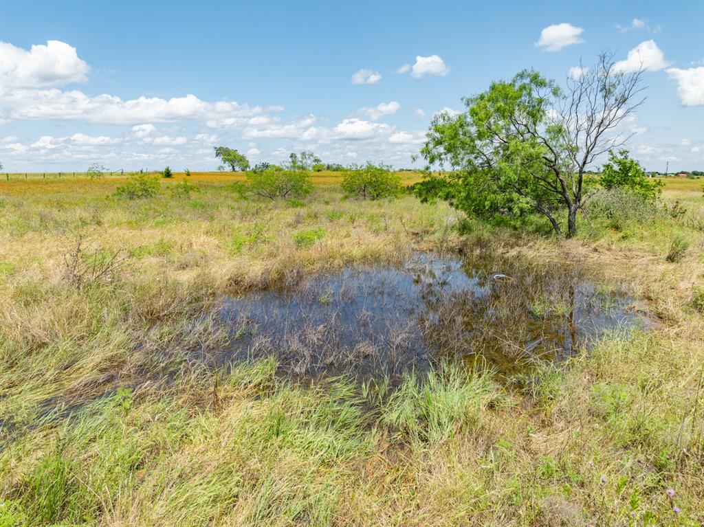 321 County Road 3545  , Clifton, Texas image 33