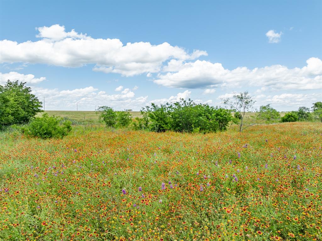 321 County Road 3545  , Clifton, Texas image 5