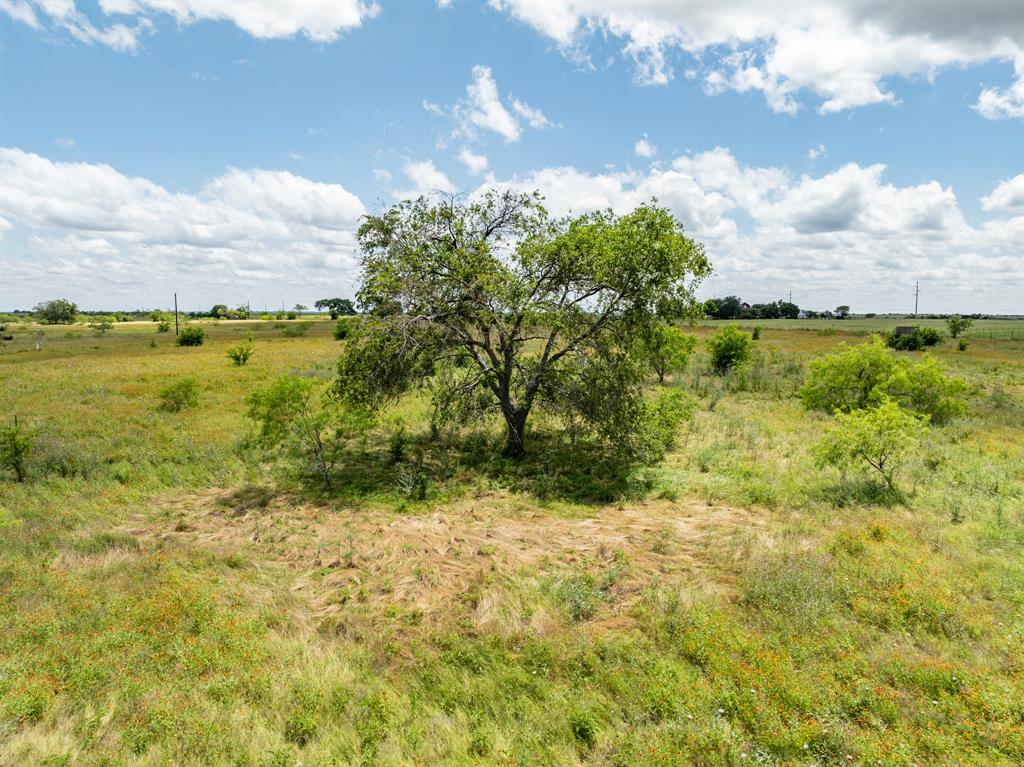 321 County Road 3545  , Clifton, Texas image 43