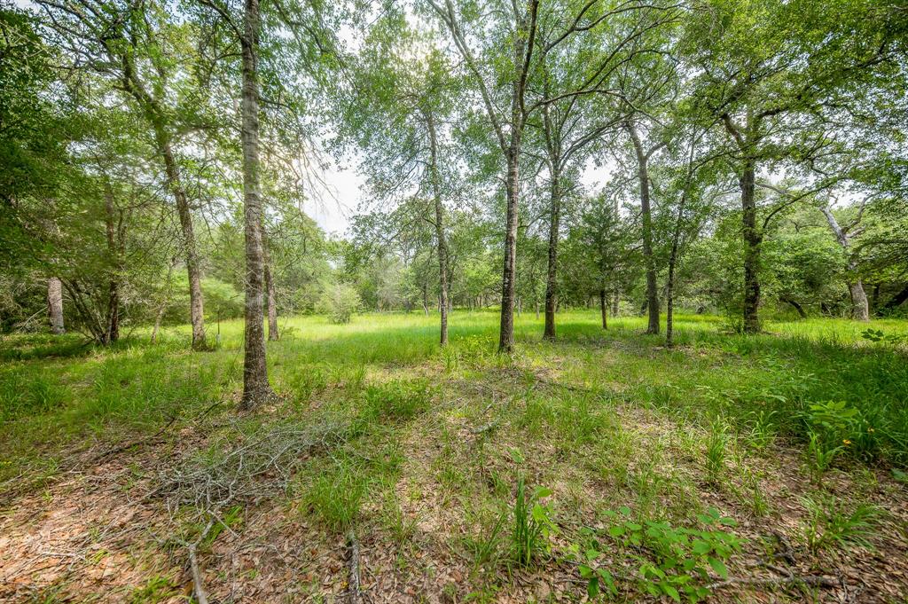 810 County Road 123f  , Sublime, Texas image 11