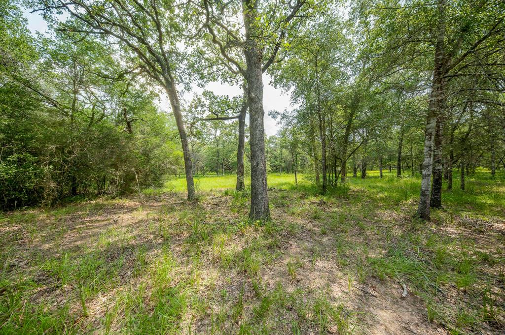 810 County Road 123f  , Sublime, Texas image 15