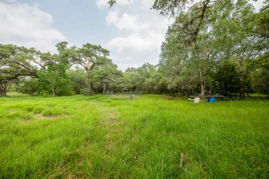 810 County Road 123f  , Sublime, Texas image 8