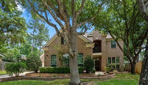 18 Oakley Downs Pl, The Woodlands, TX 77382