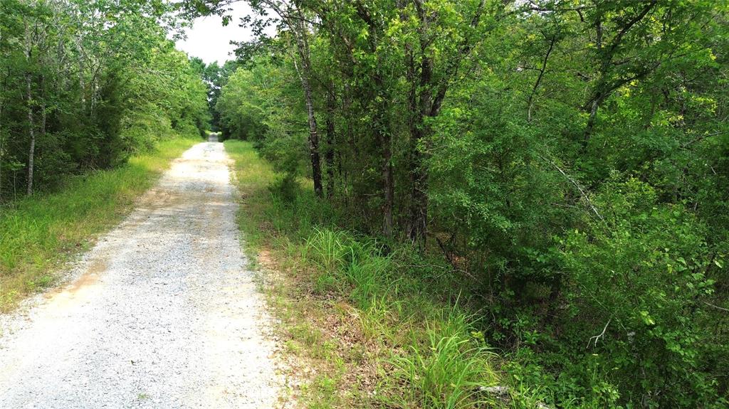 7431 Pr 1465  , Centerville, Texas image 9