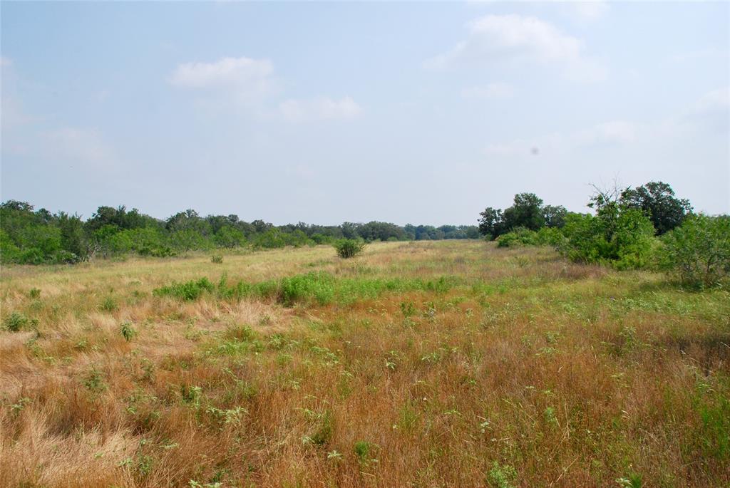 3040 County Rd 397  , Moulton, Texas image 11