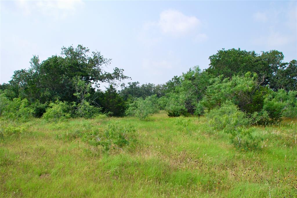 3040 County Rd 397  , Moulton, Texas image 12