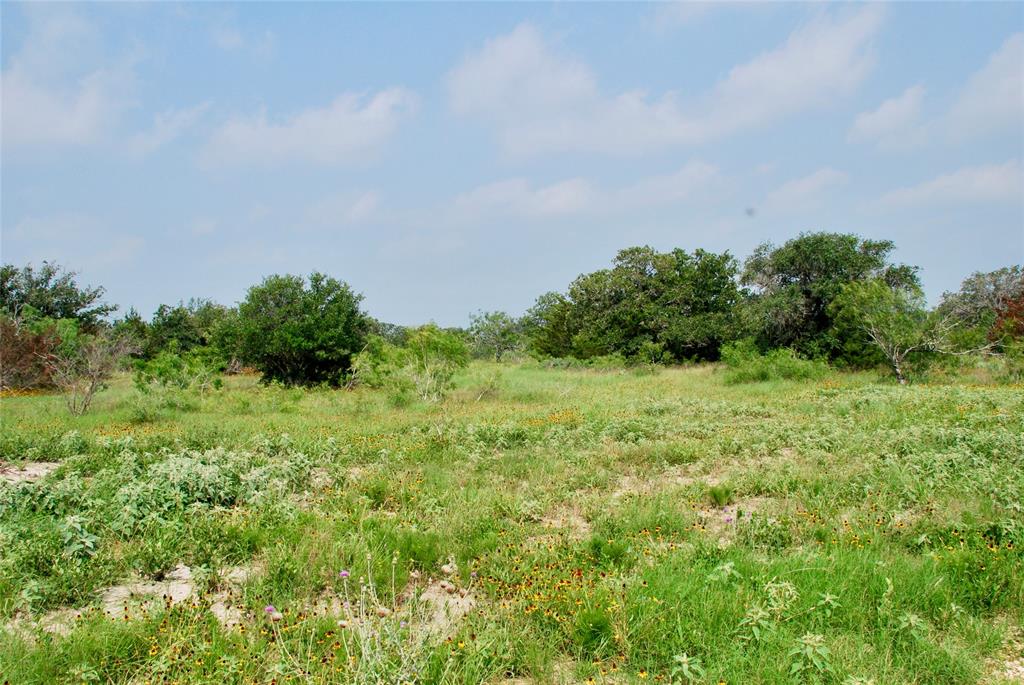 3040 County Rd 397  , Moulton, Texas image 6