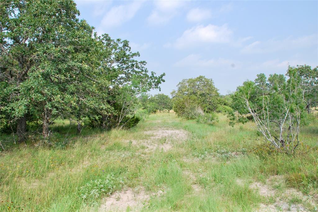 3040 County Rd 397  , Moulton, Texas image 8