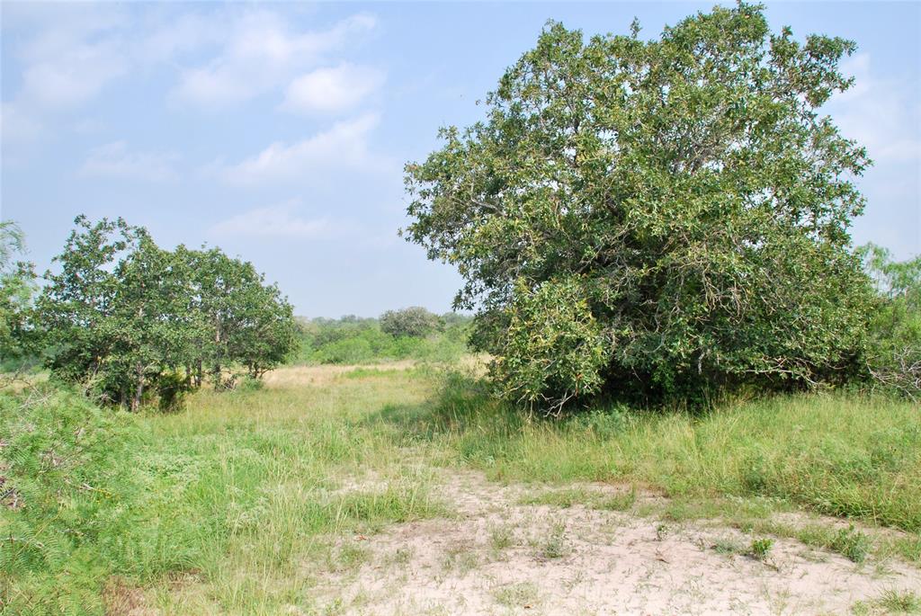 3040 County Rd 397  , Moulton, Texas image 9