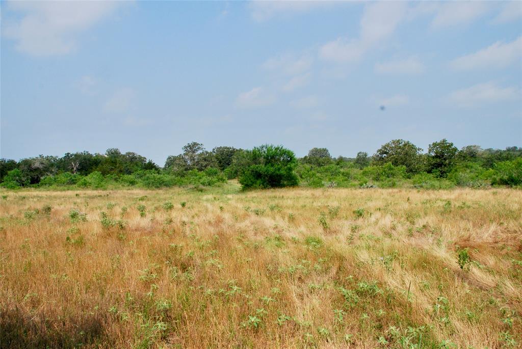 3040 County Rd 397  , Moulton, Texas image 10