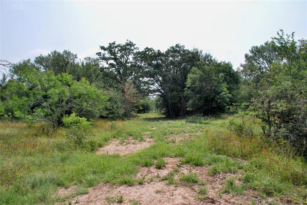 3094 County Rd 397  , Moulton, Texas image 22