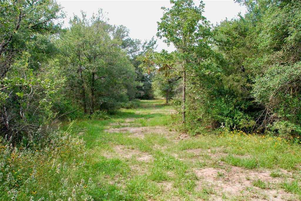 3094 County Rd 397  , Moulton, Texas image 23