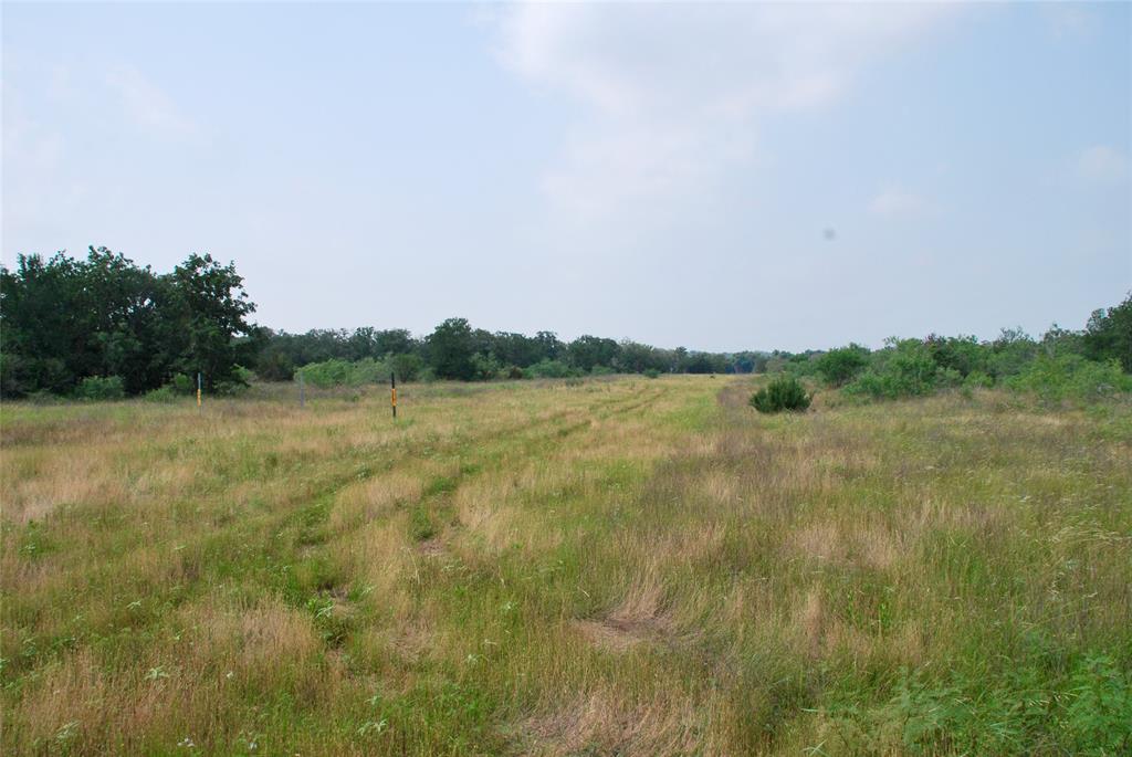 3094 County Rd 397  , Moulton, Texas image 25