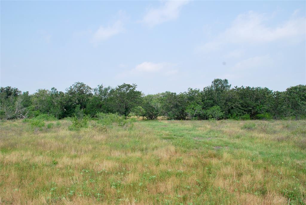 3094 County Rd 397  , Moulton, Texas image 26