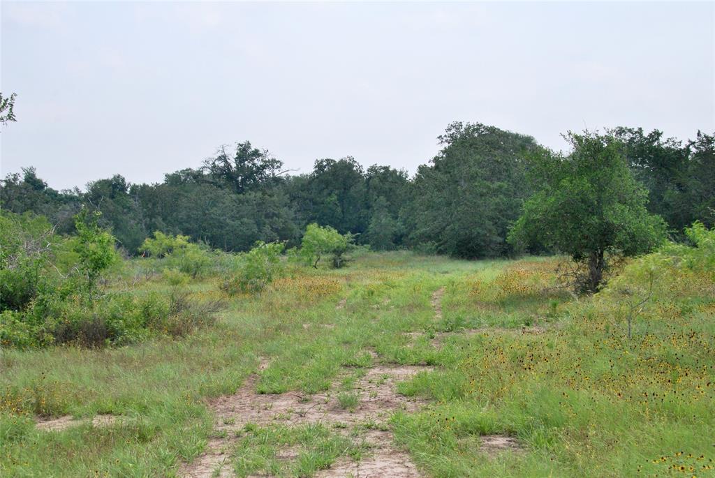 3094 County Rd 397  , Moulton, Texas image 28