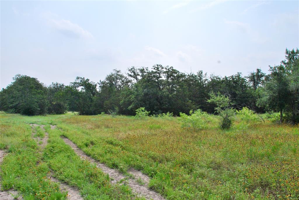 3094 County Rd 397  , Moulton, Texas image 29