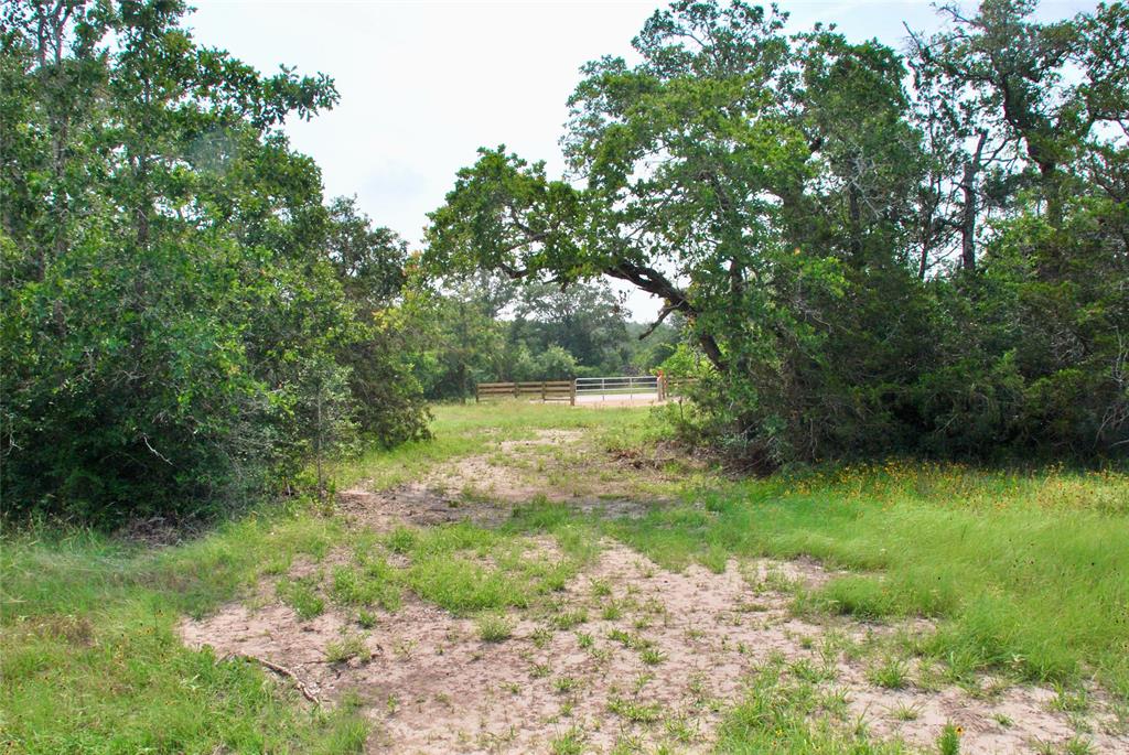 3094 County Rd 397  , Moulton, Texas image 30