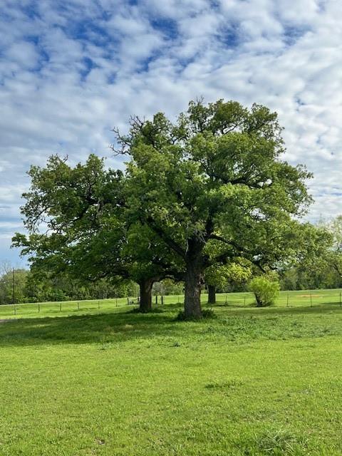 430 Thornberry Drive , Somerville, Texas image 14