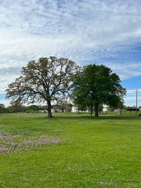 430 Thornberry Drive , Somerville, Texas image 16