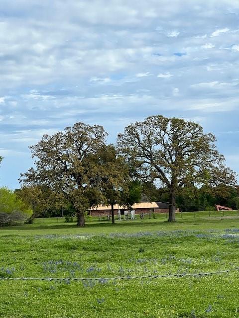 430 Thornberry Drive , Somerville, Texas image 7