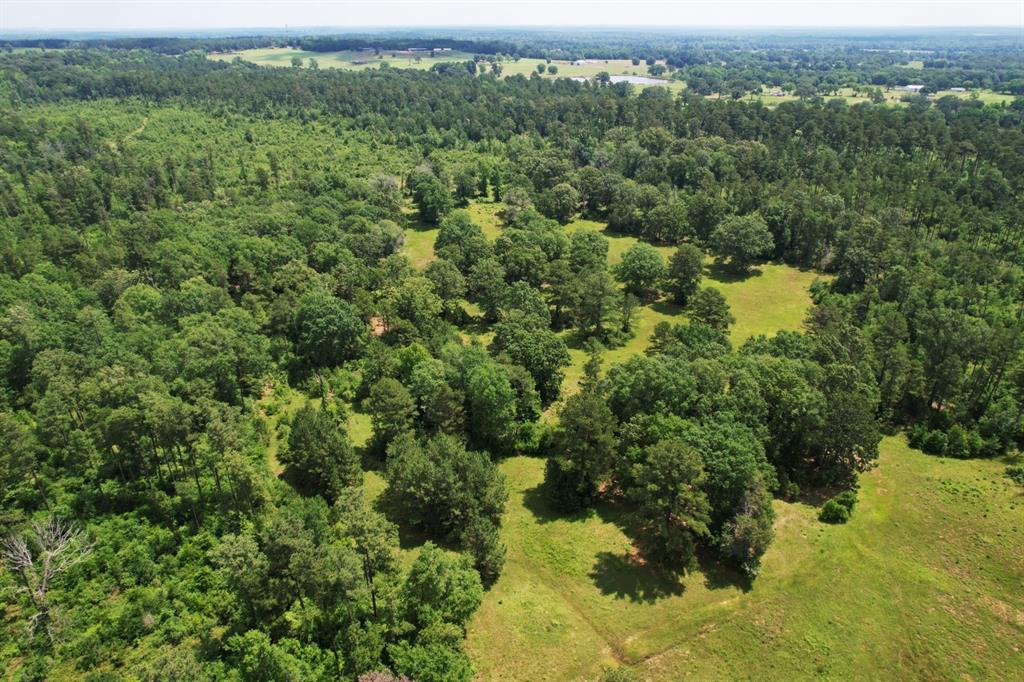 TBD-4 Cr 364  , Henderson, Texas image 14