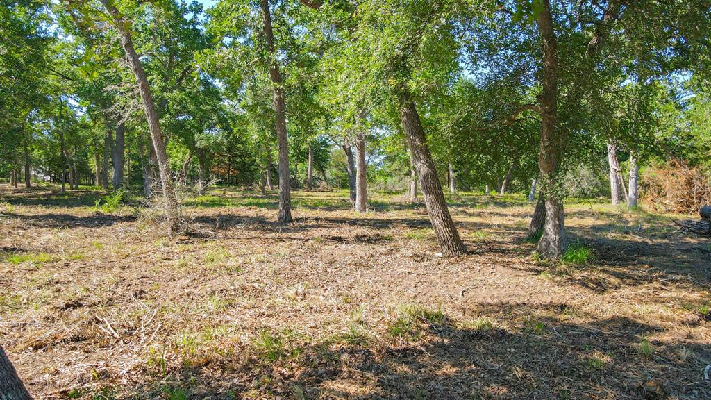 433 & 477 Whispering Woods Trail  , Somerville, Texas image 4