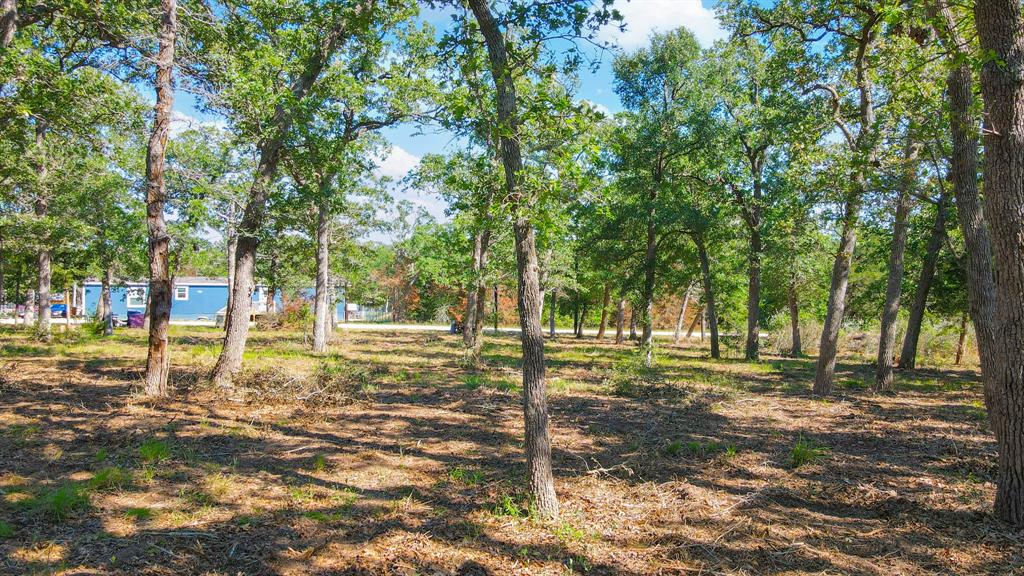 433 & 477 Whispering Woods Trail  , Somerville, Texas image 6