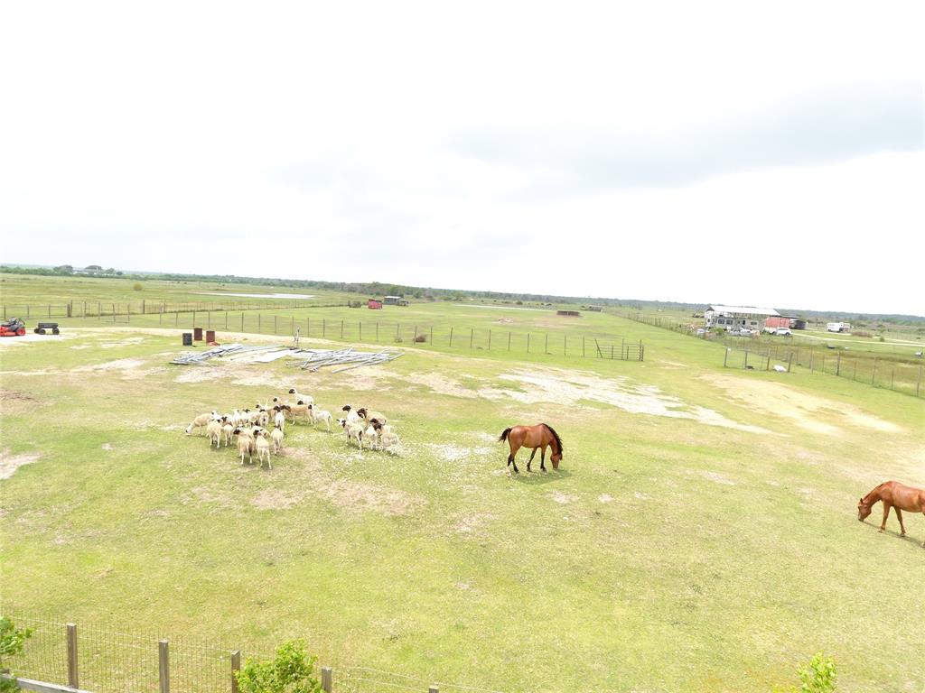 5123 County Road 868  , Brazoria, Texas image 11