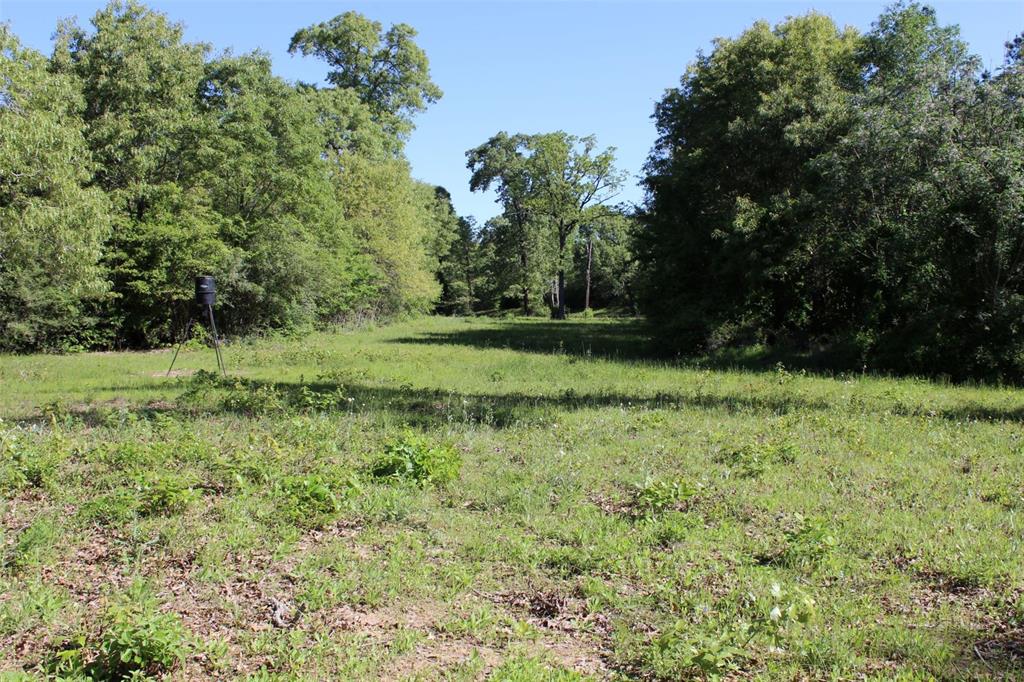 298 Private Road 1350  , Centerville, Texas image 11