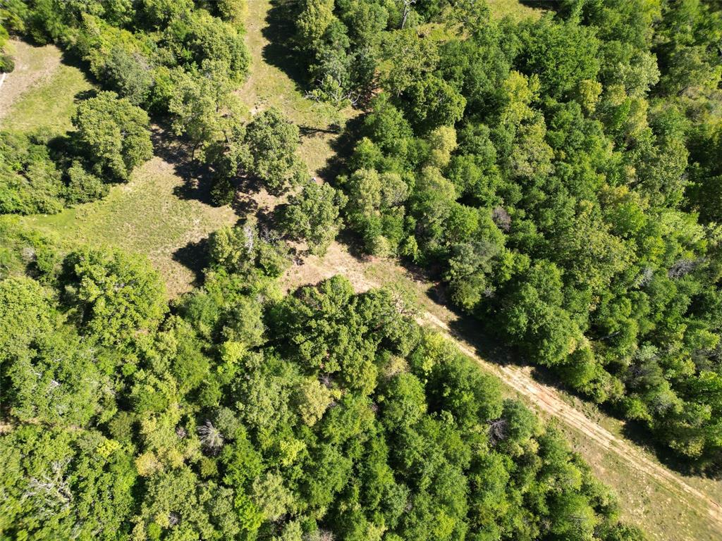 ATV trails threw out property