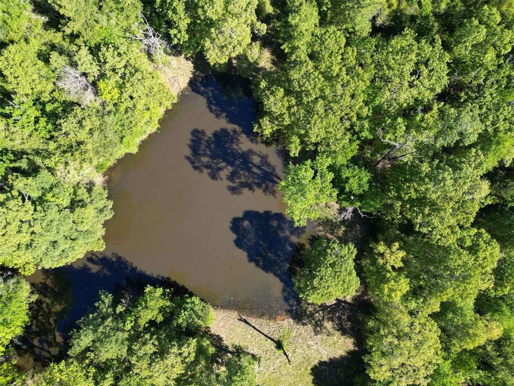 298 Private Road 1350  , Centerville, Texas image 9