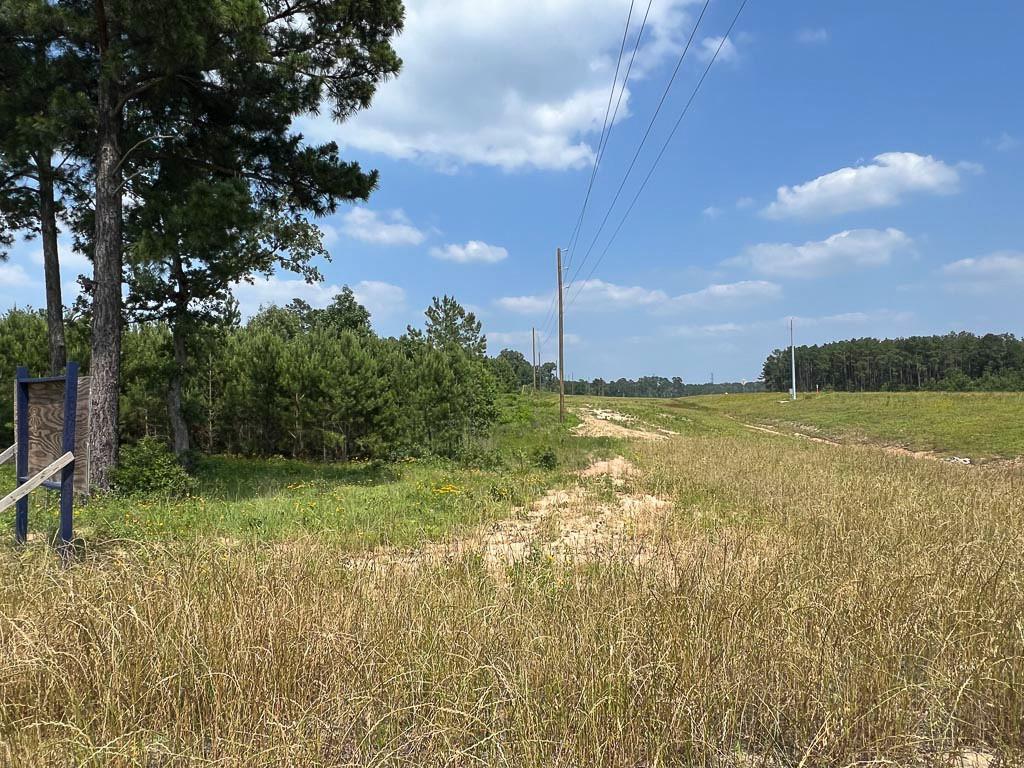 Tract 5 Sh 249  , Navasota, Texas image 9