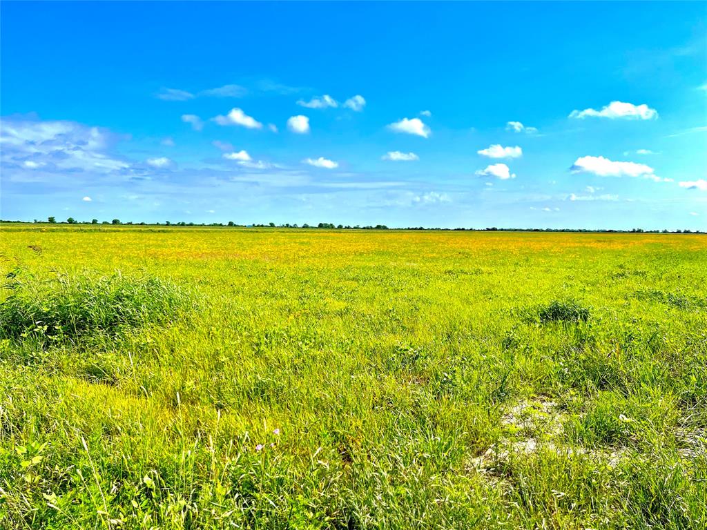 1359 Mcdonald Road Road , Eagle Lake, Texas image 6