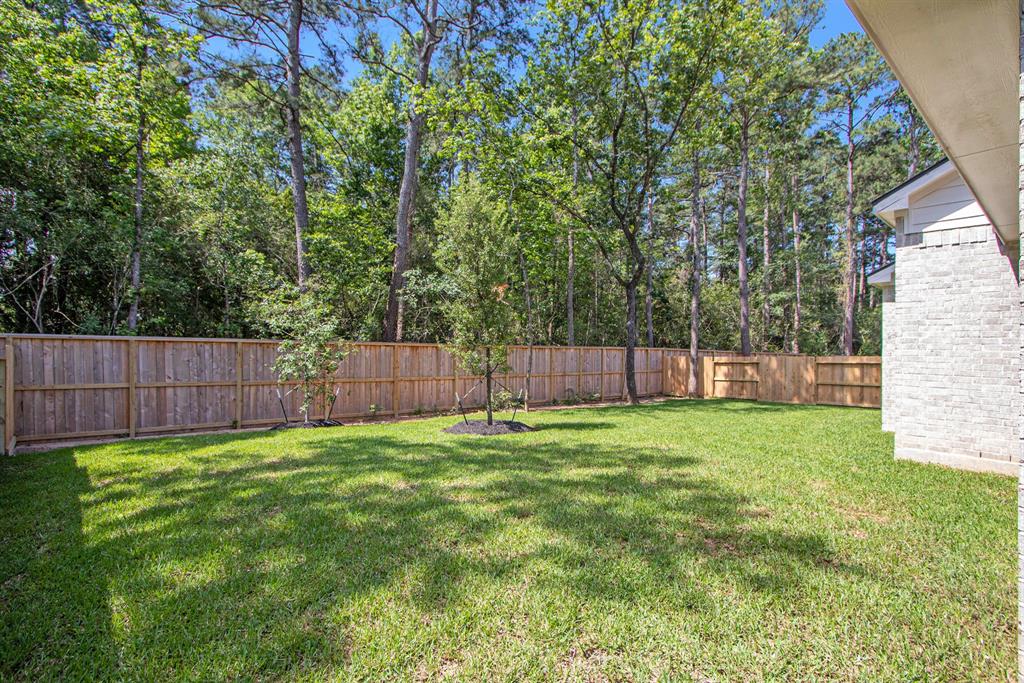 115 Purple Lilac Court , Willis, Texas image 35