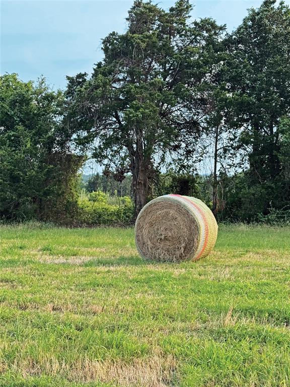 Lot 2A Vineyard View Trail  , Carmine, Texas image 9