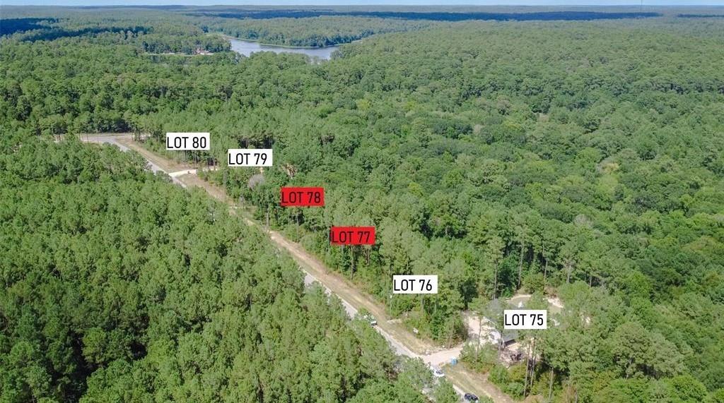 Build your dream home or vacation property on this amazing lot!