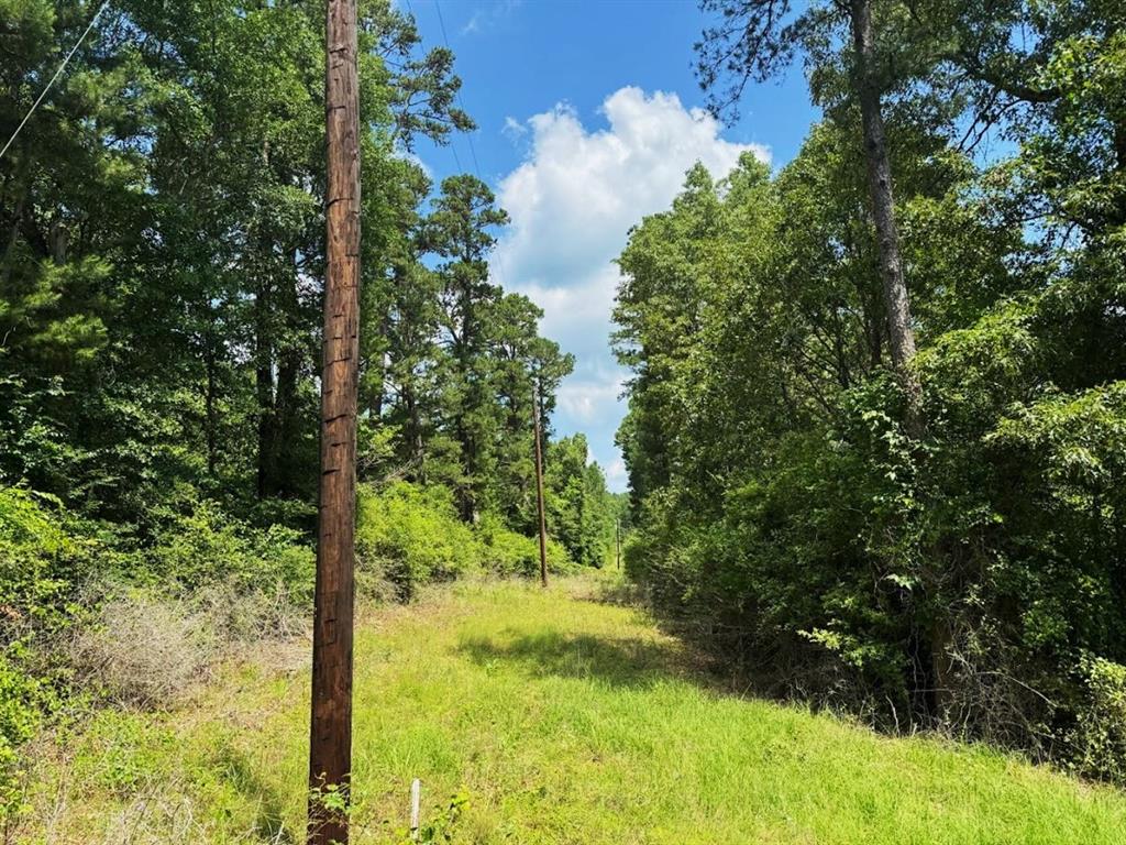 TBD-3 County Road 364  , Henderson, Texas image 7