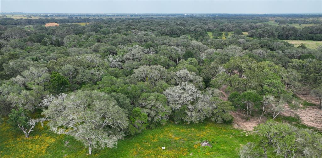 TBD County Rd 160 Lot 131  , Columbus, Texas image 4