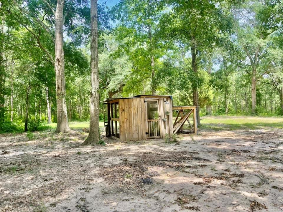 Chicken Coop