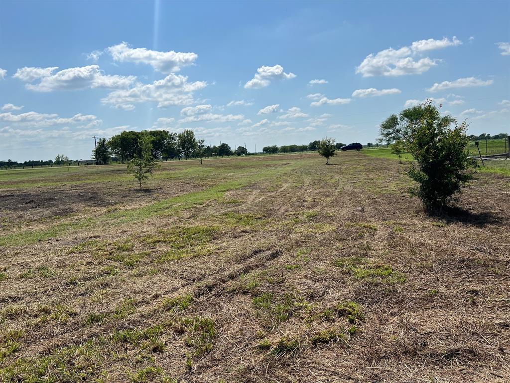 00 County Road 227  , Hungerford, Texas image 7