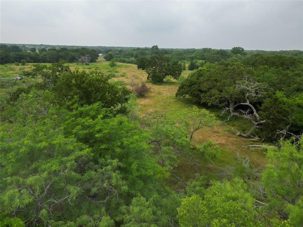 14226 4060  , Scurry, Texas image 6