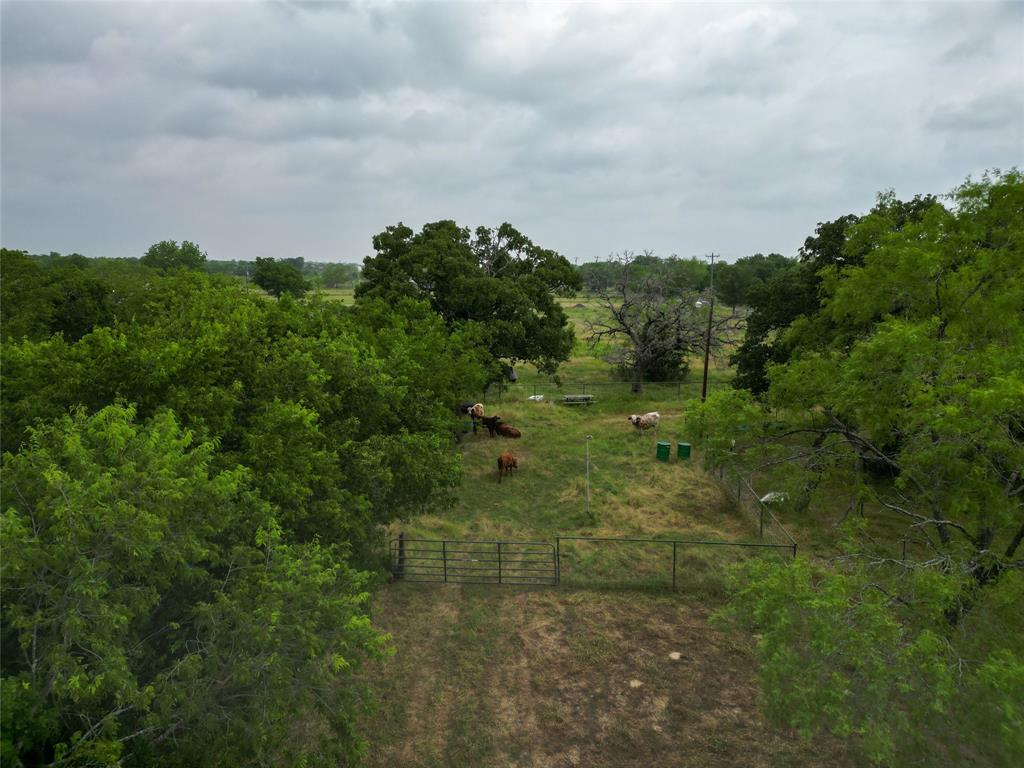 14226 4060  , Scurry, Texas image 7