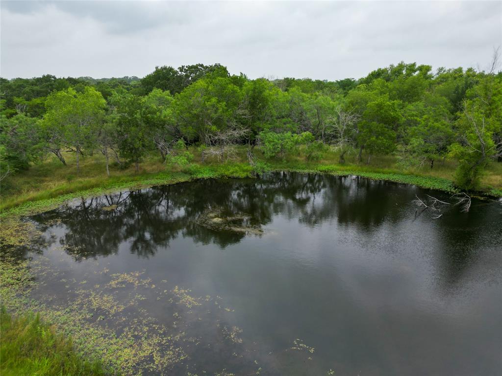 14226 4060  , Scurry, Texas image 8