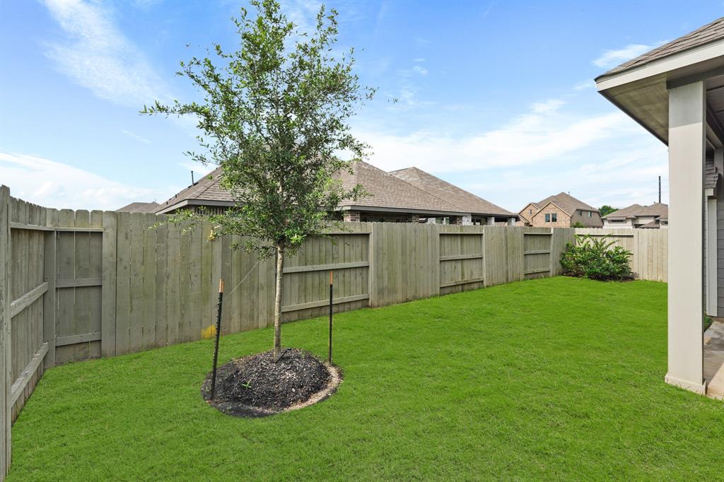 Perfect if you’re looking for a low maintenance yard!