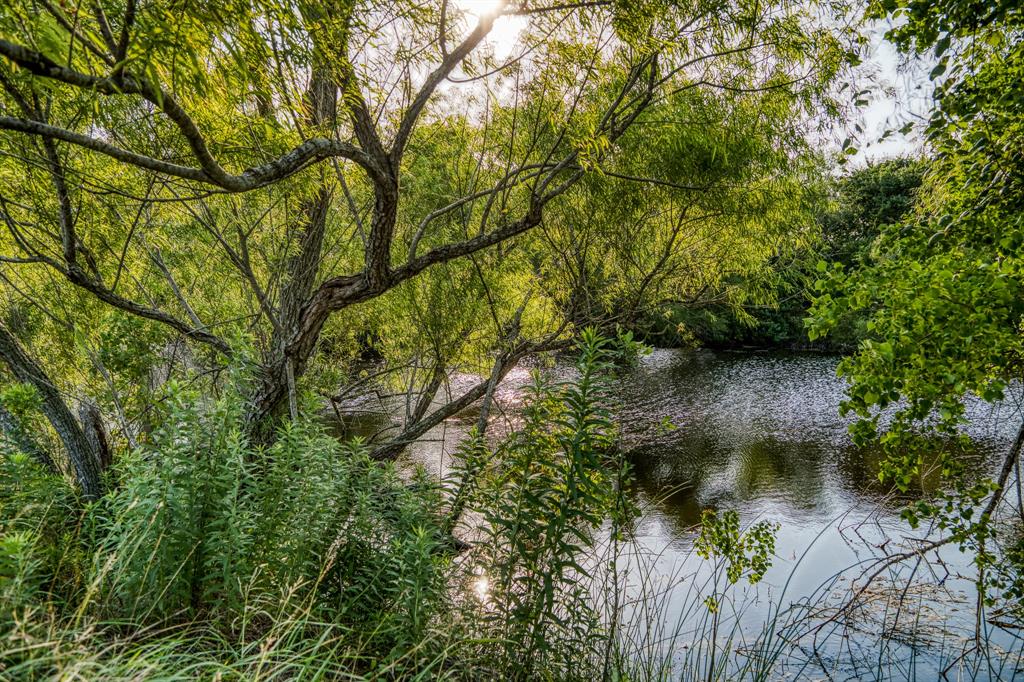 Lush trees providing shade over one of three natural water resources on the ranch.