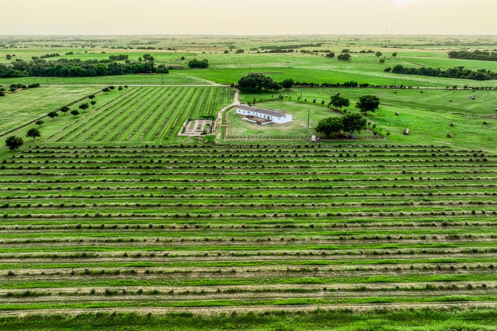 The aerial view reveals the grandeur of this estate, highlighting its extensive olive groves and the well-placed ponds that punctuate the landscape.